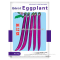High Yield Hybrid red Long Eggplant Seeds chinese vegetable seeds for growing-red eggplant